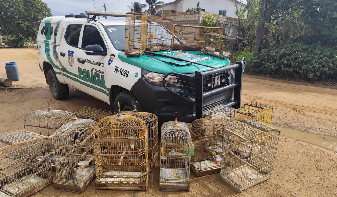 Operação Onda Verde da PM apreende aves silvestres e arma de fogo no interior