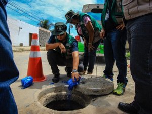 Fiscalização combate crimes ambientais em Maceió