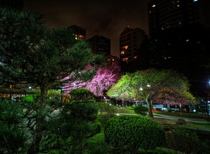 Viajar virtualmente para poder curtir Curitiba depois da quarentena