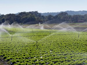 Governo de Alagoas assina ordem de serviço para execução de projeto de irrigação que beneficiará pequenos produtores do Sertão