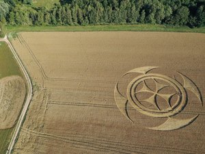 Símbolo gigantesco em campo de trigo atrai atenção de curiosos na França