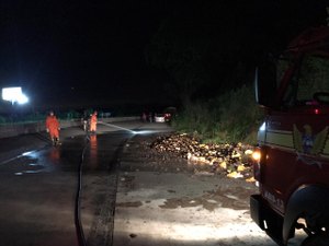 Carreta transportando cerveja capota na BR 101 em Flexeiras