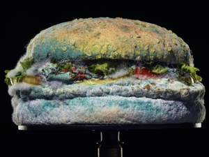 Burger King usa lanche mofado para divulgar Whopper mais 'natural'