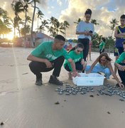 Primeira soltura de tartarugas marinhas da temporada acontece em Maceió
