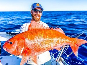 Homem pesca ‘peixe-dourado’ gigante na Austrália