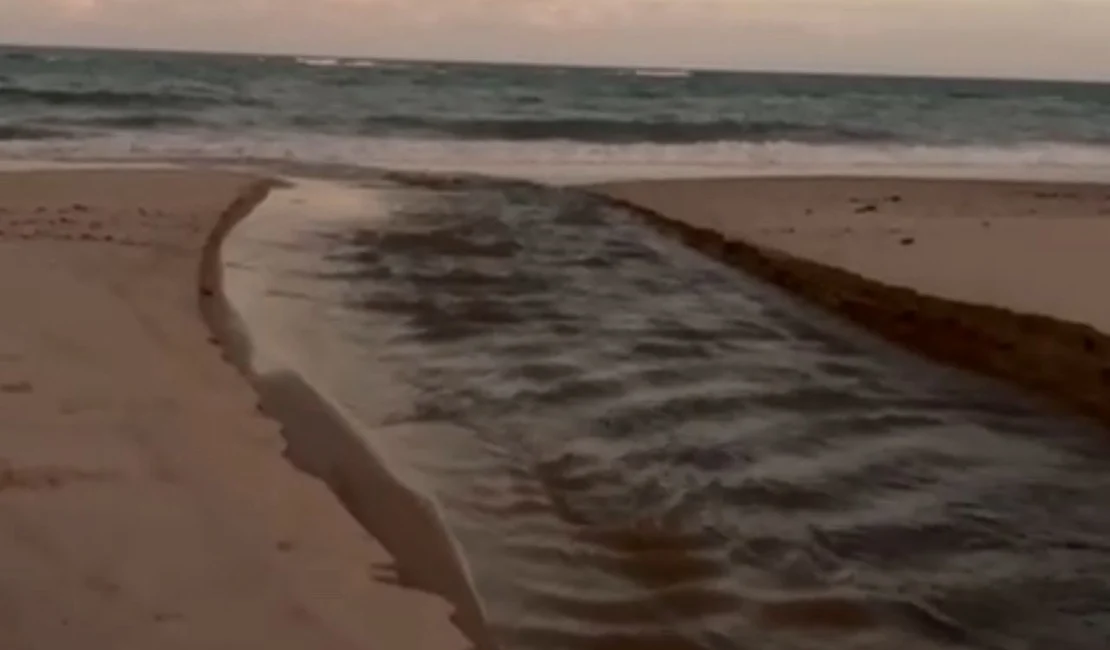 Vídeo levanta suspeita de despejo de esgoto no riacho de Guaxuma, em Maceió