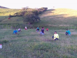 Estudantes de colégio de Arapiraca plantam 500 mudas para recuperar nascentes