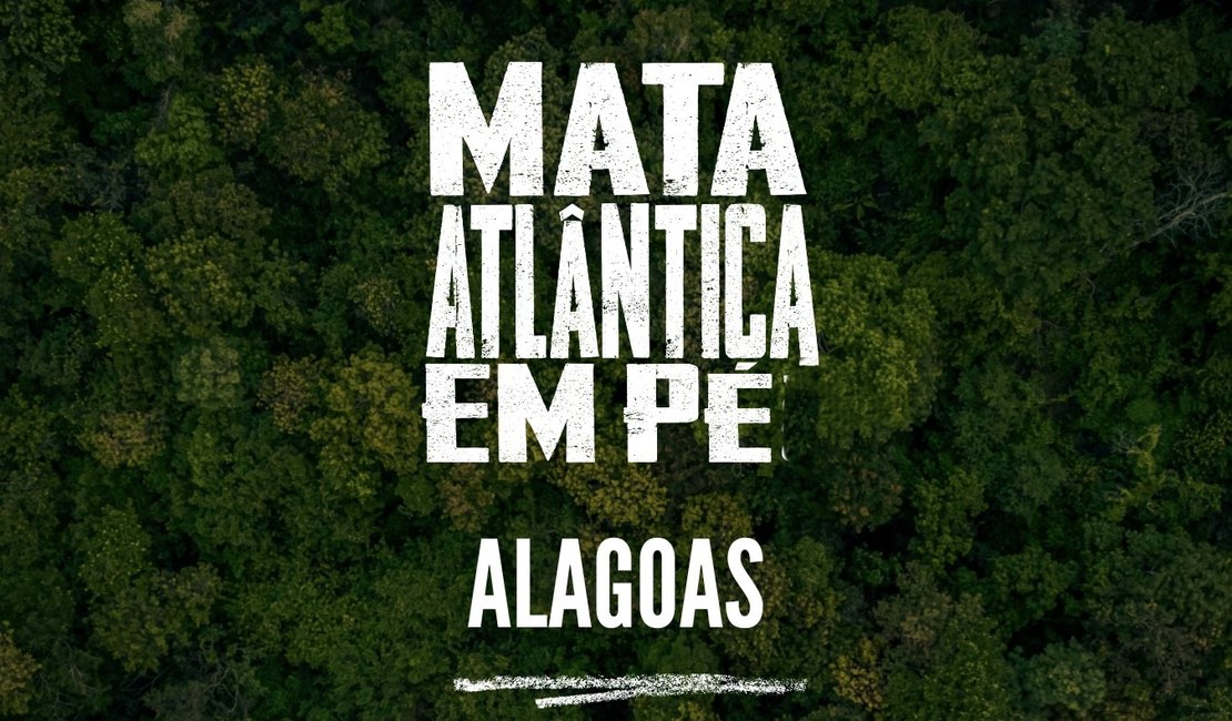 Ministério Público de Alagoas integra Operação Nacional Mata Atlântica em Pé 2025