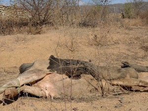 Quase mil prefeituras iniciam 2017 em situação de emergência ou em estado de calamidade pública
