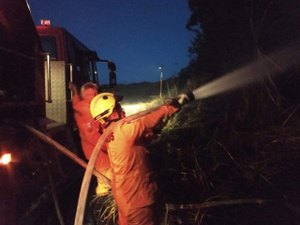 Bombeiros controlam incêndio em vegetação no município de União dos Palmares  