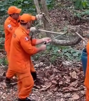 Cobra é capturada no Bosque das Arapiracas; tamanho impressiona moradores