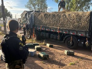 PRF apreende quase meia tonelada de cocaína em caminhão carregado com abacaxi