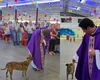 Cachorro entra com padre em missa e derrete a web