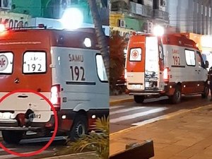 Cachorro pega carona em ambulância para acompanhar dono até o hospital