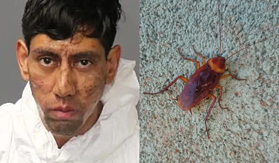 Homem surpreende polícia e diz que barata o convenceu a cometer crime