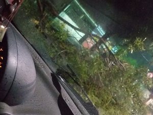 Fortes chuvas voltam a causar transtornos em Alagoas 