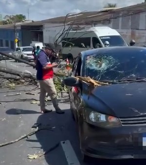 Árvore cai e atinge carro que passava pela Avenida Leste-Oeste, em Maceió