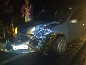 [Vídeo] Animais soltos na pista provocam acidente na AL-220