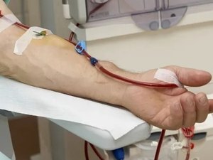 Testemunhas de Jeová flexibilizam regra sobre doação de sangue; entenda