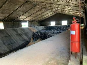 Cerca de 60 toneladas de óleo foram recolhidas em praias do litoral alagoano