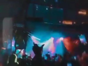 MP investiga festa clandestina na Barra de São Miguel