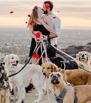 Homem faz pedido de casamento especial com a ajuda de 16 cachorros