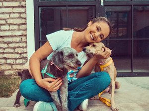 Bazar para ajudar animais resgatados da rua acontecerá nos dias 25 e 26