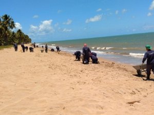 Reeducandos reforçam limpeza de praias atingidas por óleo em AL