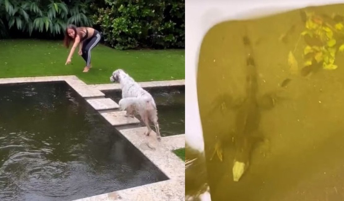 Anitta fica assustada ao encontrar iguana na piscina da casa de Miami