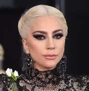 Fã levanta Lady Gaga no colo e derruba cantora do palco em show