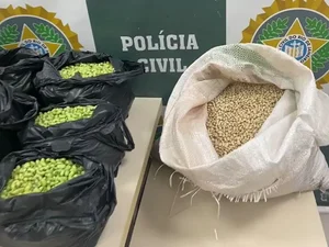 Homem é preso no Rio por tingir de verde feijão fradinho para vender como feijão de corda