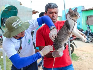 Arapiraca dará início à vacinação antirrábica para cães e gatos na próxima segunda (10)