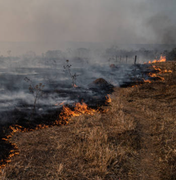 [Vídeo]  Apesar do aumento da temperatura, ação humana ainda é principal causa de incêndios em vegetação