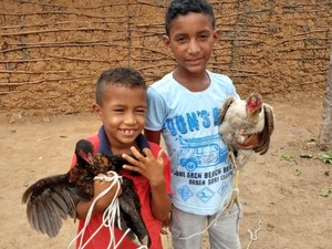 Meninos que pediram galinhas a Papai Noel ganham um ano de fornecimento de ovos