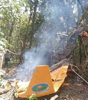 Avião monomotor cai em área de vegetação e pega fogo no interior de SP
