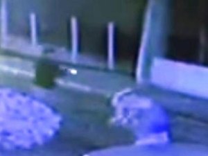 Justiça alagoana nega liberdade a acusado de tentar matar idosa por som alto