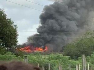 Incêndio atinge galpão de avícola, em Arapiraca