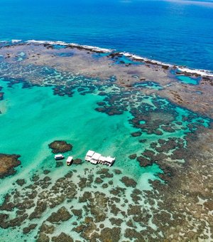 Justiça Federal atende pedido do MPF e suspende turismo na Lagoa Azul, em Maragogi