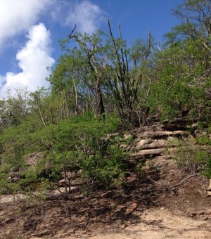 Reportagem mostra achado de sítios arqueológicos no Sertão de Alagoas