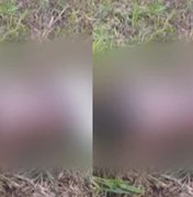 Homem atacado por trio armado é encontrado morto em área de mata na Cidade Universitária, em Maceió