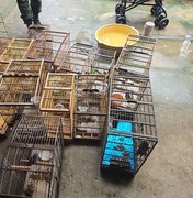 PM-AL resgata 89 aves silvestres durante fiscalização do Batalhão Ambiental no interior