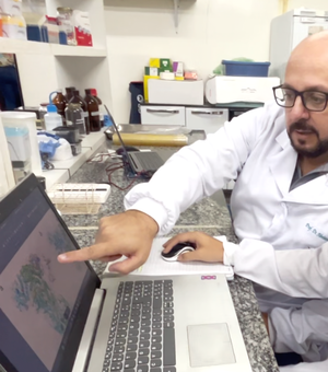 Pesquisa financiada pela Fapeal desvenda a evolução genética do vírus chikungunya em Alagoas