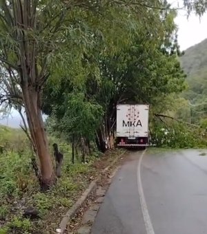 Caminhão colide em árvore e deixa preso às ferragens na AL-145, em Água Branca