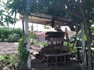 Ocupações irregulares são encontradas na APA do Catolé e Fernão Velho