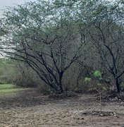 [Vídeo] Criação da APA Brisa do Lago protege nascentes, fauna e flora da caatinga em Arapiraca