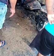 [Vídeo] Mais um veículo é incendiado em menos de 10 horas em Arapiraca