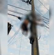 Homem morre eletrocutado e fica pendurado em poste ao tentar furtar fios da rede elétrica 
