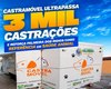 Castramóvel ultrapassa 3 mil castrações de animais em Palmeira dos Índios