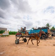 Prefeitura de Arapiraca convoca carroceiros para realizar cadastro obrigatório