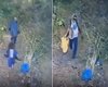 Vídeo mostra tio-avô entrando em mata com menino e saindo sozinho em Maceió